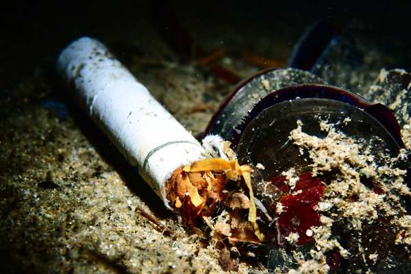 해양환경 박정권(간접 흡연)
