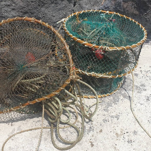 바다에서 수거해 오는 버려진 어업도구들